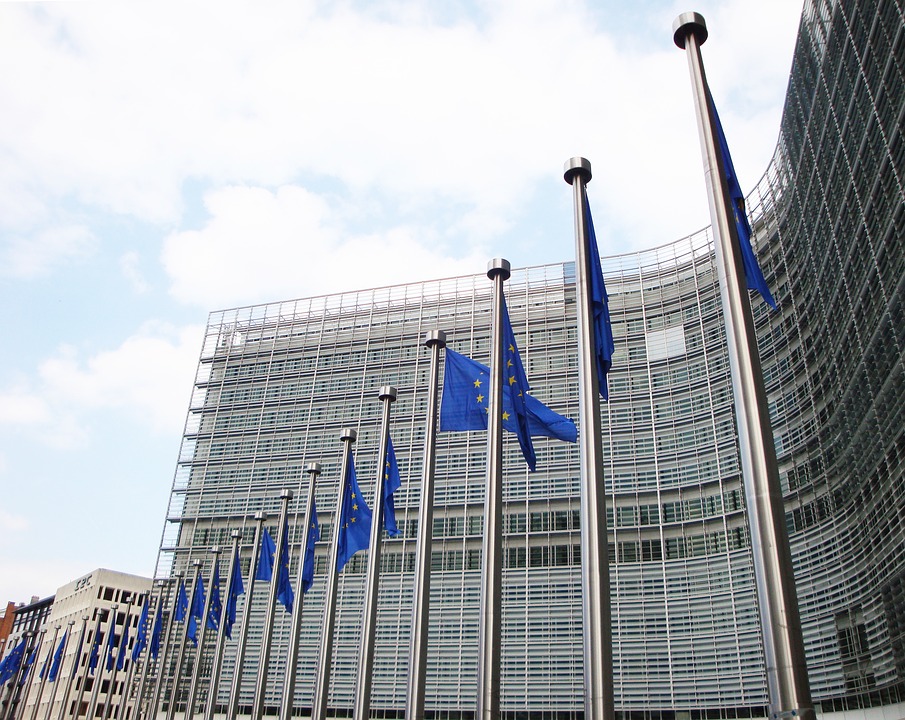 Evropska civilna družba za večje mednarodno razvojno sodelovanju EU in njenih članic