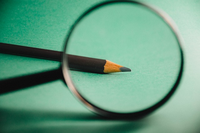 Poročilo: Pogled civilne družbe na izobraževanje odraslih v Evropi